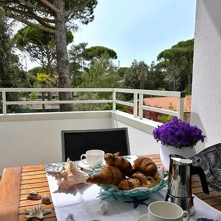 Dune Dependance 3* ビビオーネ